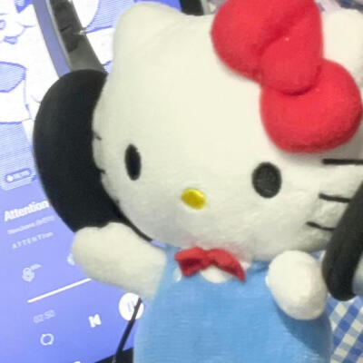 HelloKitty头像