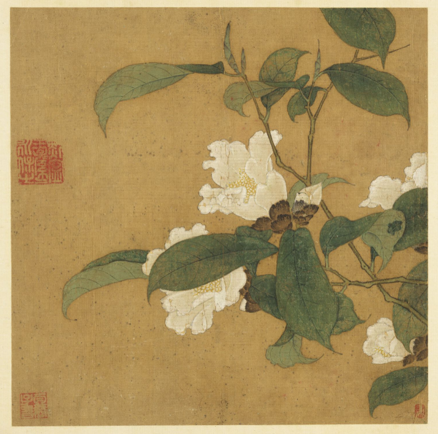 ▲《茶花图》 南宋  佚名  台北故宫博物院