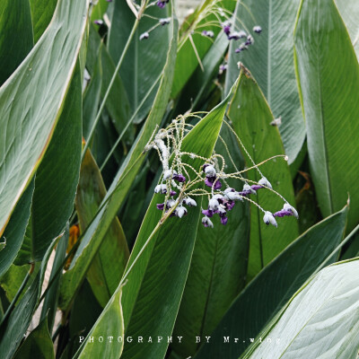 现在这气温太舒服了