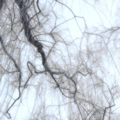 
남은것은私た＃ちの涙の约定、