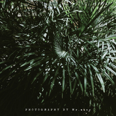 现在这气温太舒服了