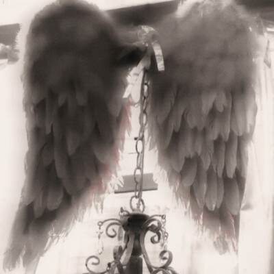 World-独立誓言_핑크색 착장