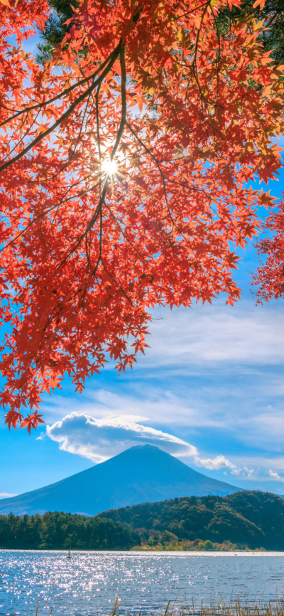 秋
图片来自网络，侵删