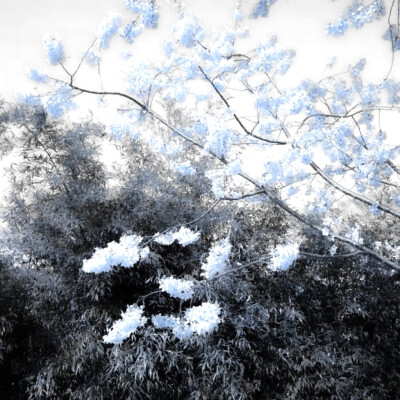 
남은것은私た＃ちの涙の约定、