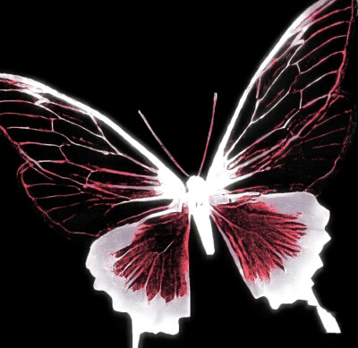 ：李诗洁
loyalty>love,I am>I was