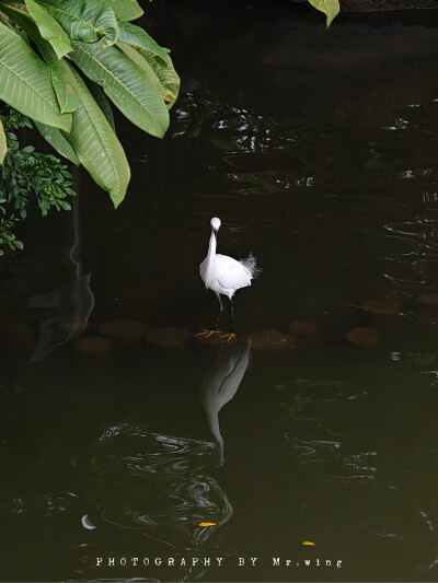 现在这气温太舒服了