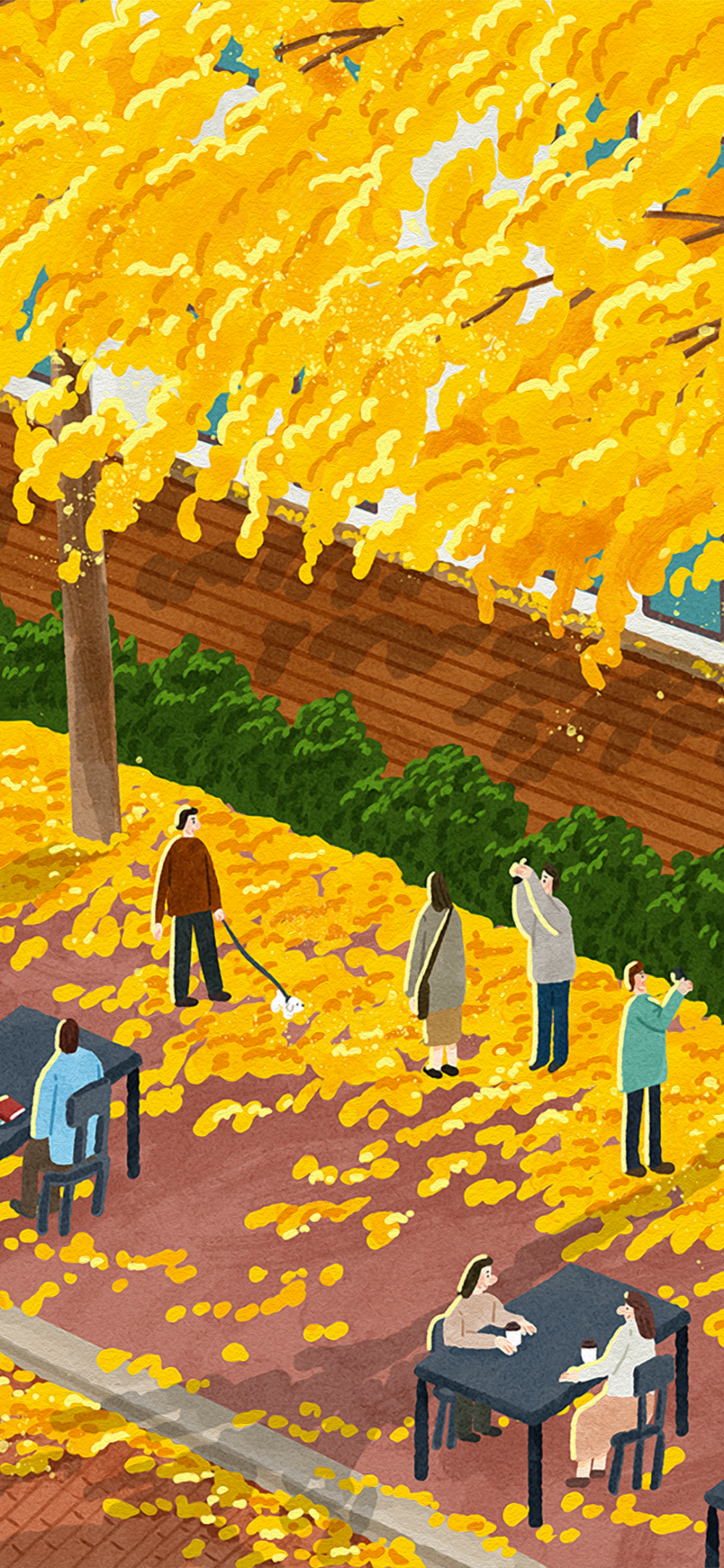 秋
图片来自网络，侵删