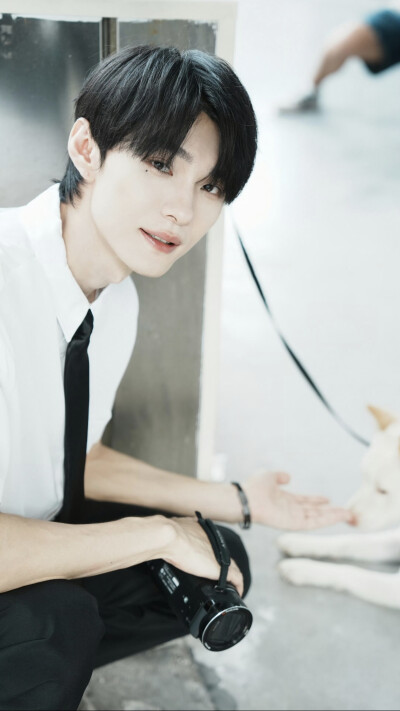 像烟花一样灿烂 张望川