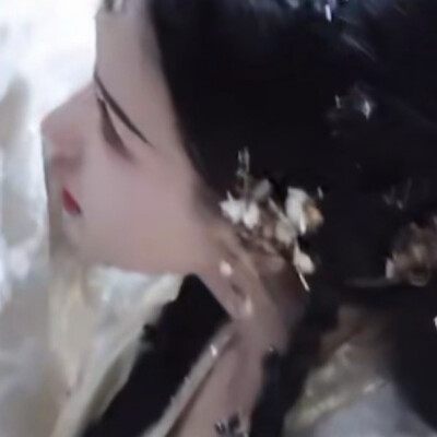 秋水为神玉为骨