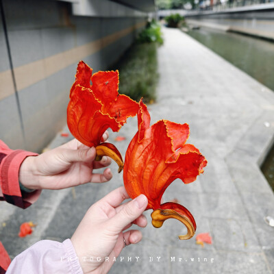 现在这气温太舒服了