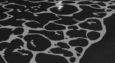 ：李诗洁
loyalty>love,I am>I was