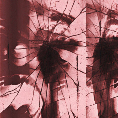 ：李诗洁
loyalty>love,I am>I was