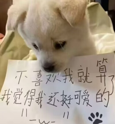 我再怎么坏也没有对你不好啊