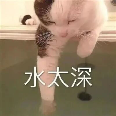 猫猫表情包
