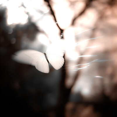 
写满的故事纸…Lonely planet☽離れて行く人