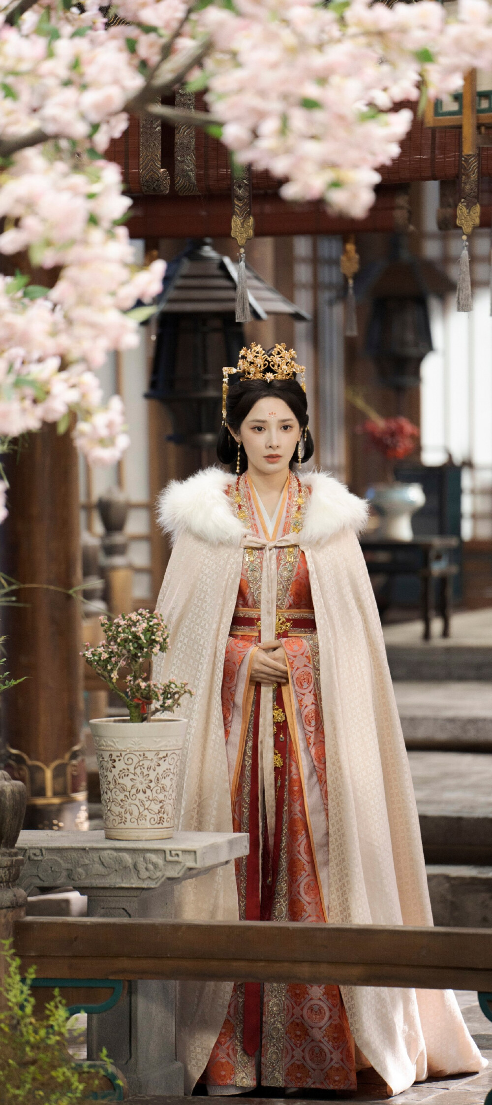 彭小苒《凤凰台上》凌苍苍