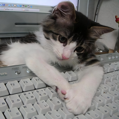 我是不会放弃收集这种图片的