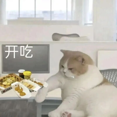 猫猫表情包