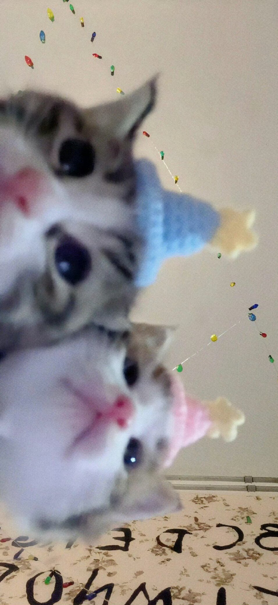 ▸ins壁纸
"請因為一點小事就快樂"