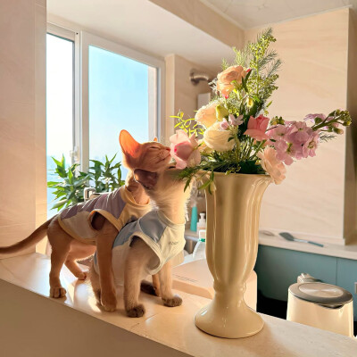 图源ks：偷喝汽水