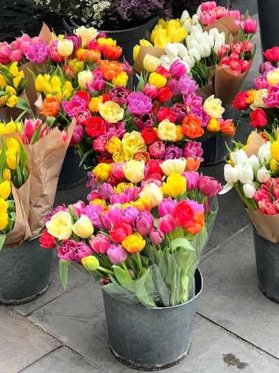 日常
半天朱霞，粲然如焚，
映着草地也有三分红意了。