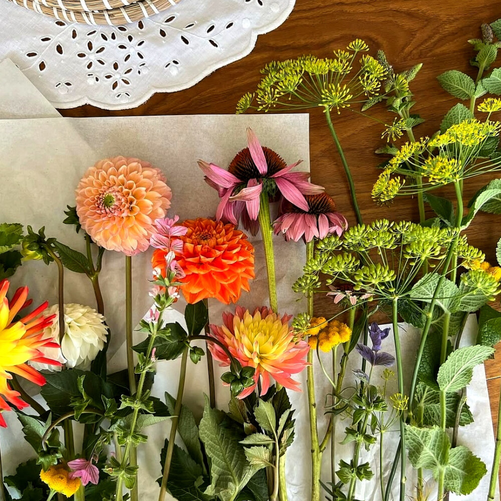 日常
半天朱霞，粲然如焚，
映着草地也有三分红意了。