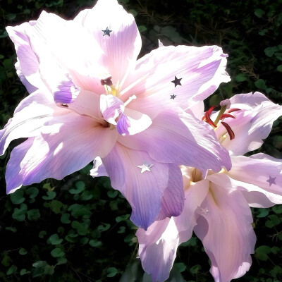 图源ks：偷喝汽水