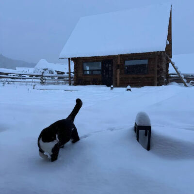 我是不会放弃收集这种图片的