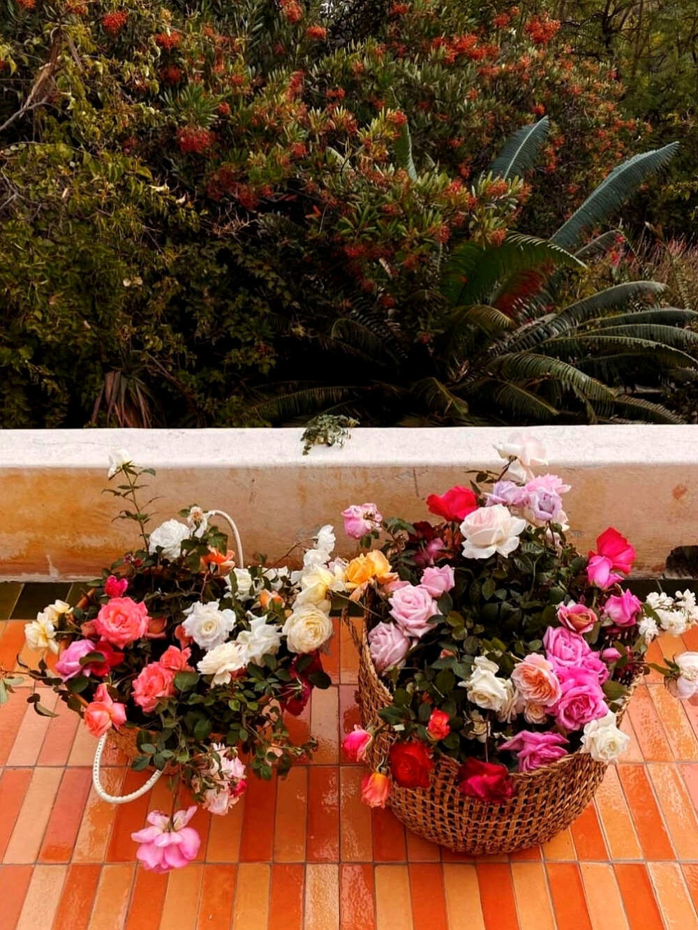 日常
半天朱霞，粲然如焚，
映着草地也有三分红意了。