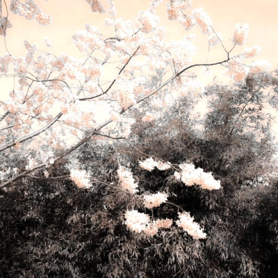 
写满的故事纸…Lonely planet☽離れて行く人