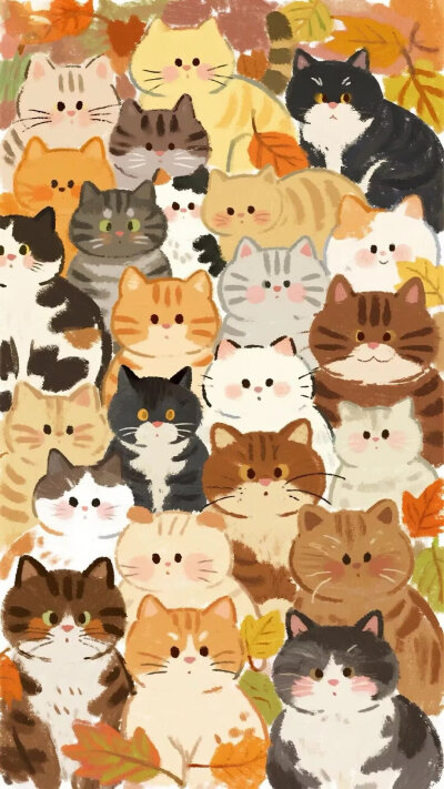 猫咪 手机壁纸 防偷窥聊天背景图 