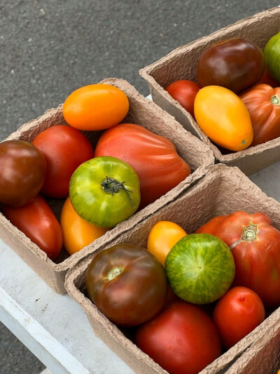 日常
半天朱霞，粲然如焚，
映着草地也有三分红意了。