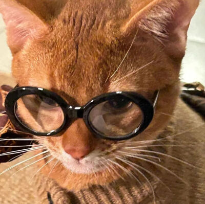 我是不会放弃收集这种图片的