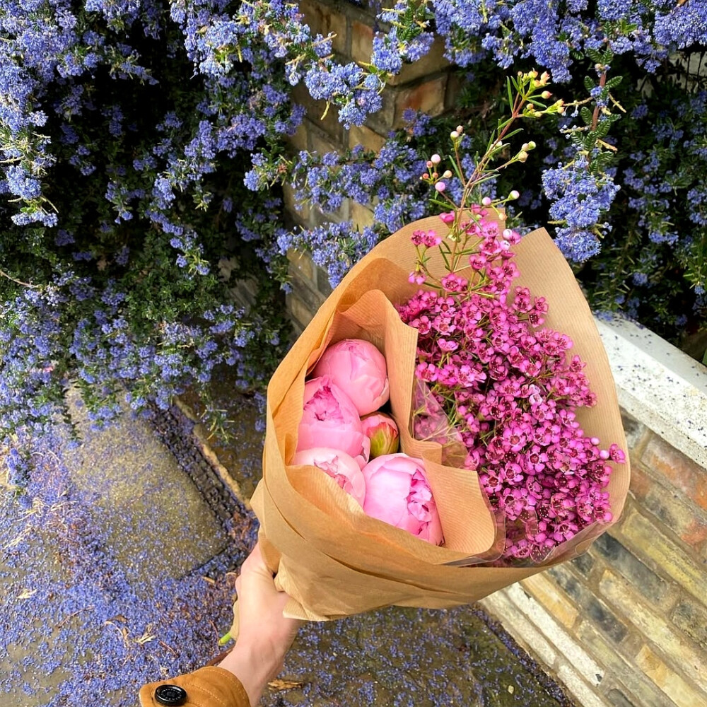 日常
半天朱霞，粲然如焚，
映着草地也有三分红意了。