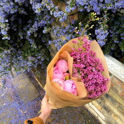 日常
半天朱霞，粲然如焚，
映着草地也有三分红意了。