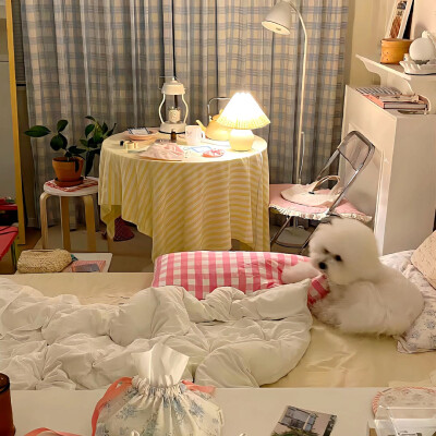 图源ks：偷喝汽水