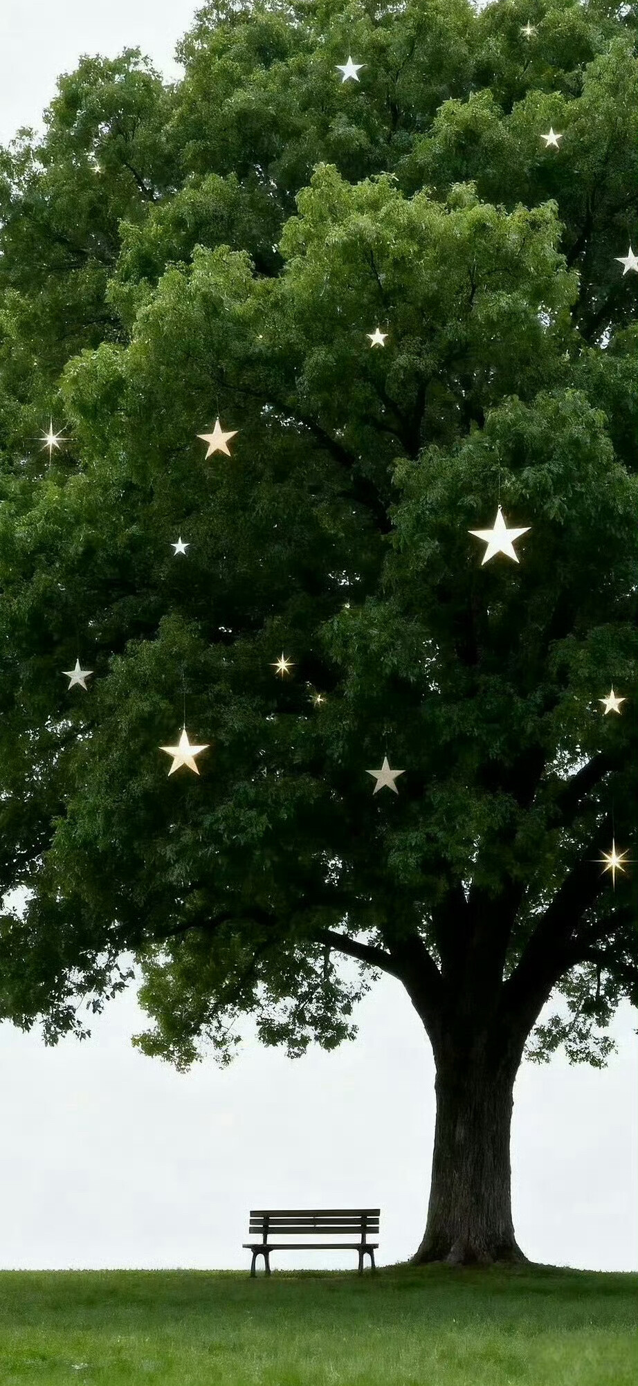 ▸ins壁纸
"請因為一點小事就快樂"