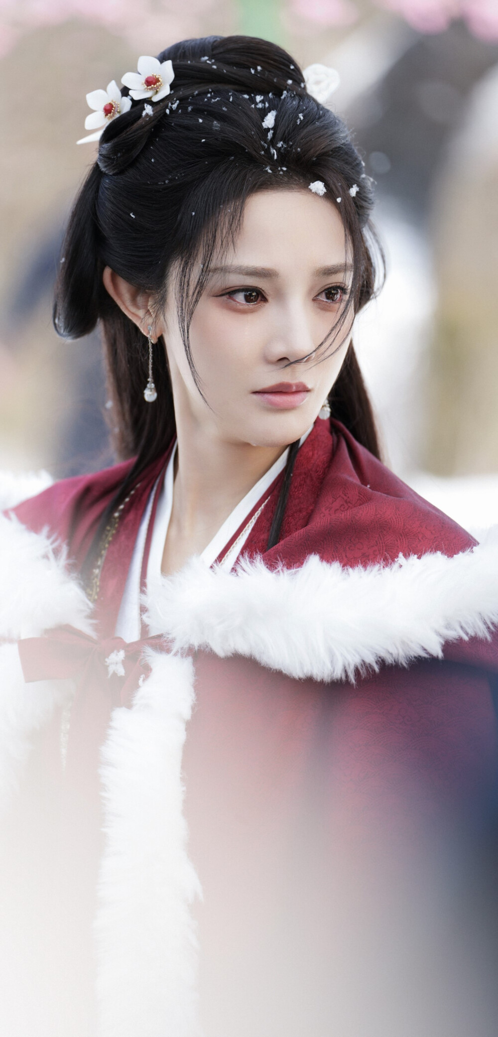 彭小苒《凤凰台上》凌苍苍