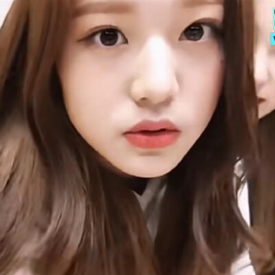 我天天都想念着圆圆的你