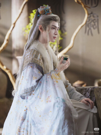 《水龙吟》罗云熙