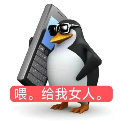 企鹅表情包