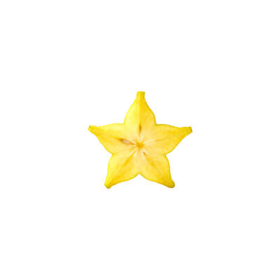 水果切片白底头像