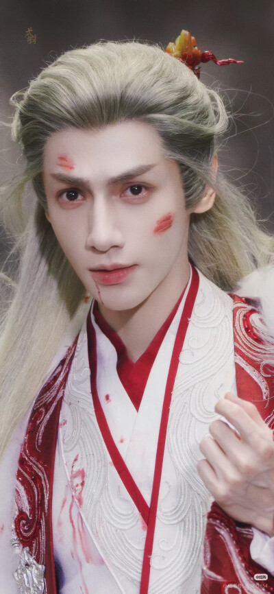 《水龙吟》罗云熙