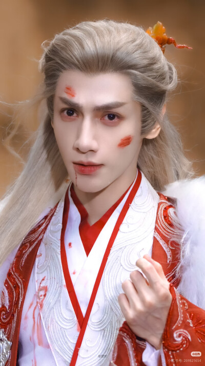 《水龙吟》罗云熙