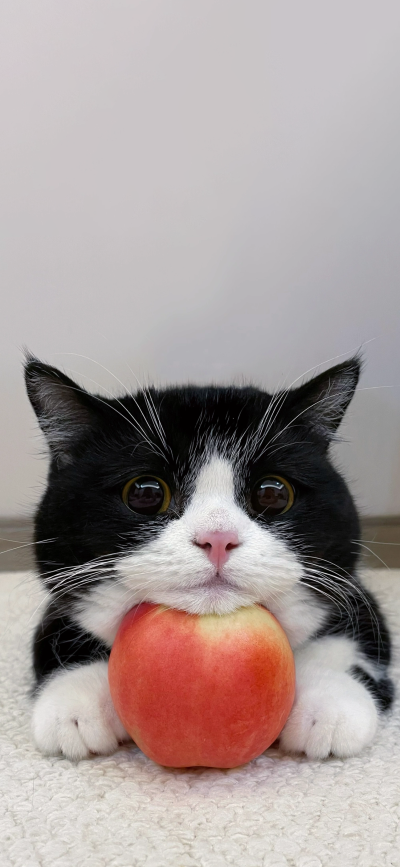 ‎#ليس قوة خارقة