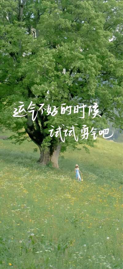 南笙北路，浪迹天涯。