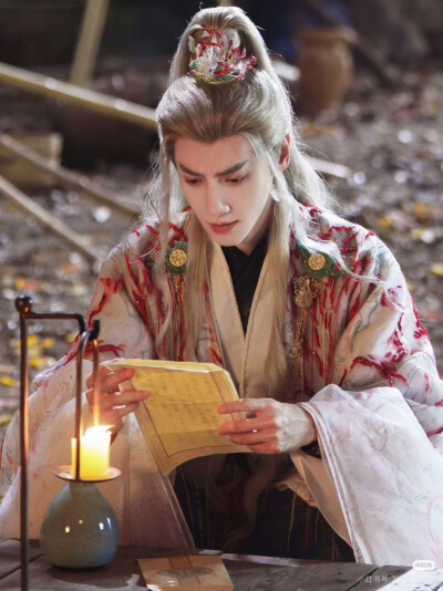 《水龙吟》罗云熙