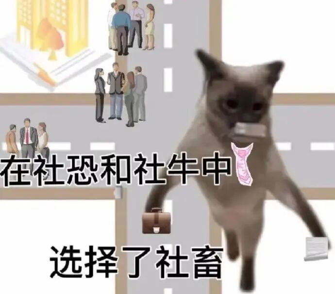 猫猫表情包