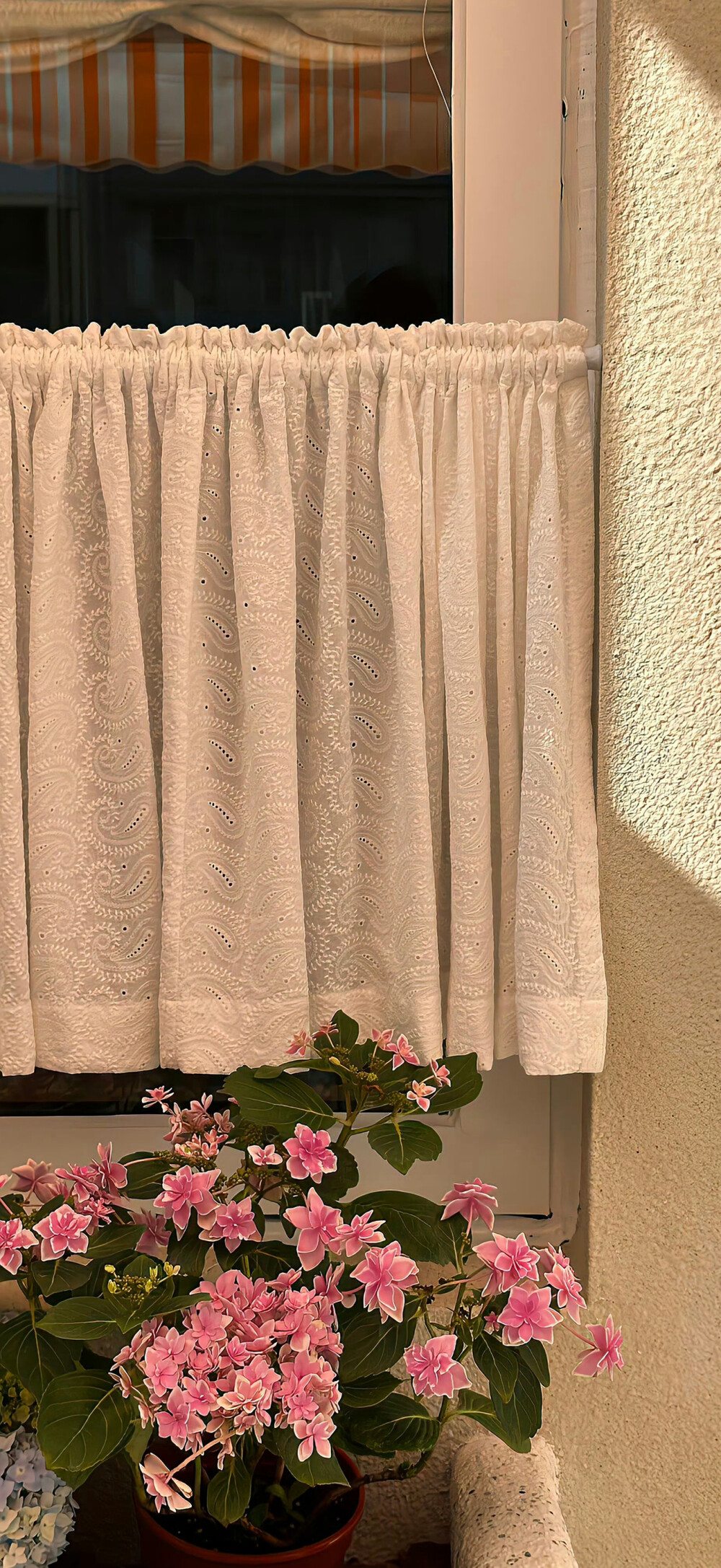 私藏ins氛围感壁纸