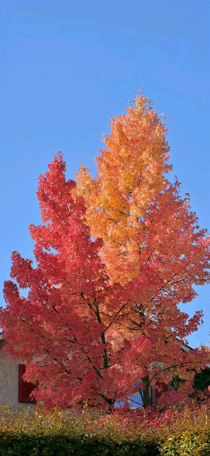 ‎#ليس قوة خارقة